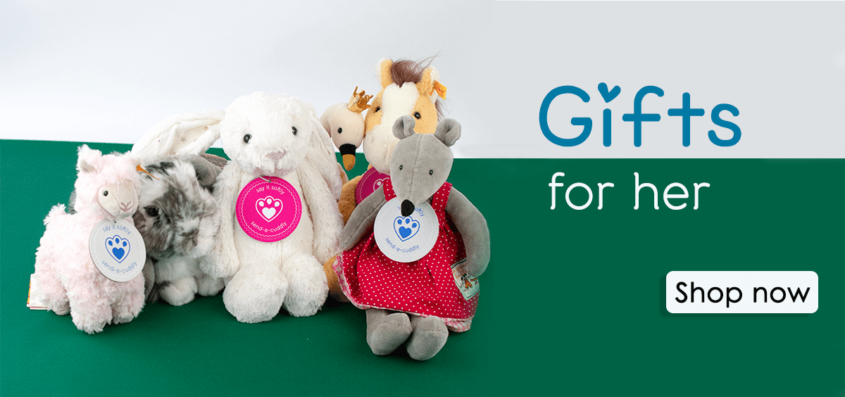 Soft Toy Gifts & Teddy Bear Delivery in the UK Send a Cuddly