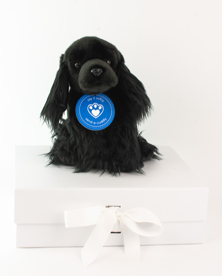 cocker spaniel soft toy