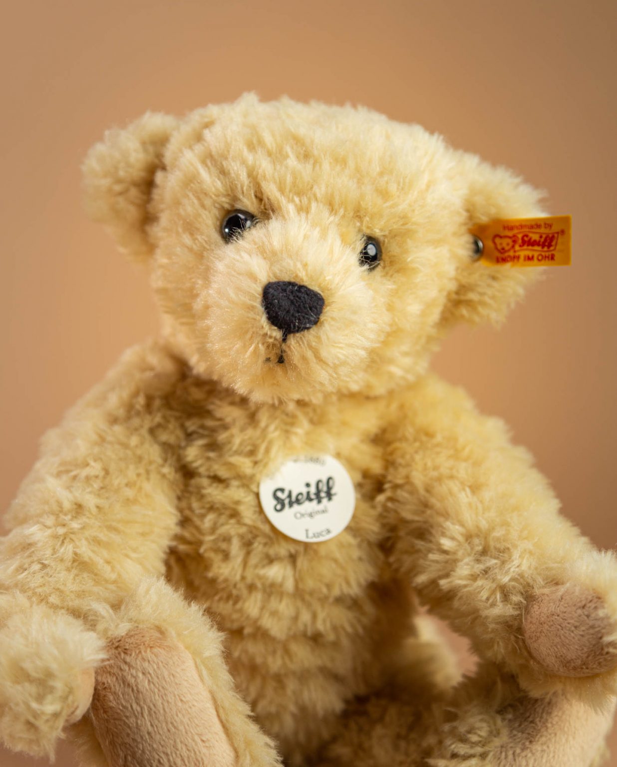 Steiff Luca Teddy Bear Soft Toy - Send a Cuddly