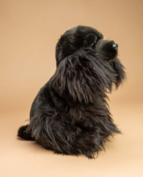 Black Cocker Spaniel Dog Soft Toy Gift - Send a Cuddly