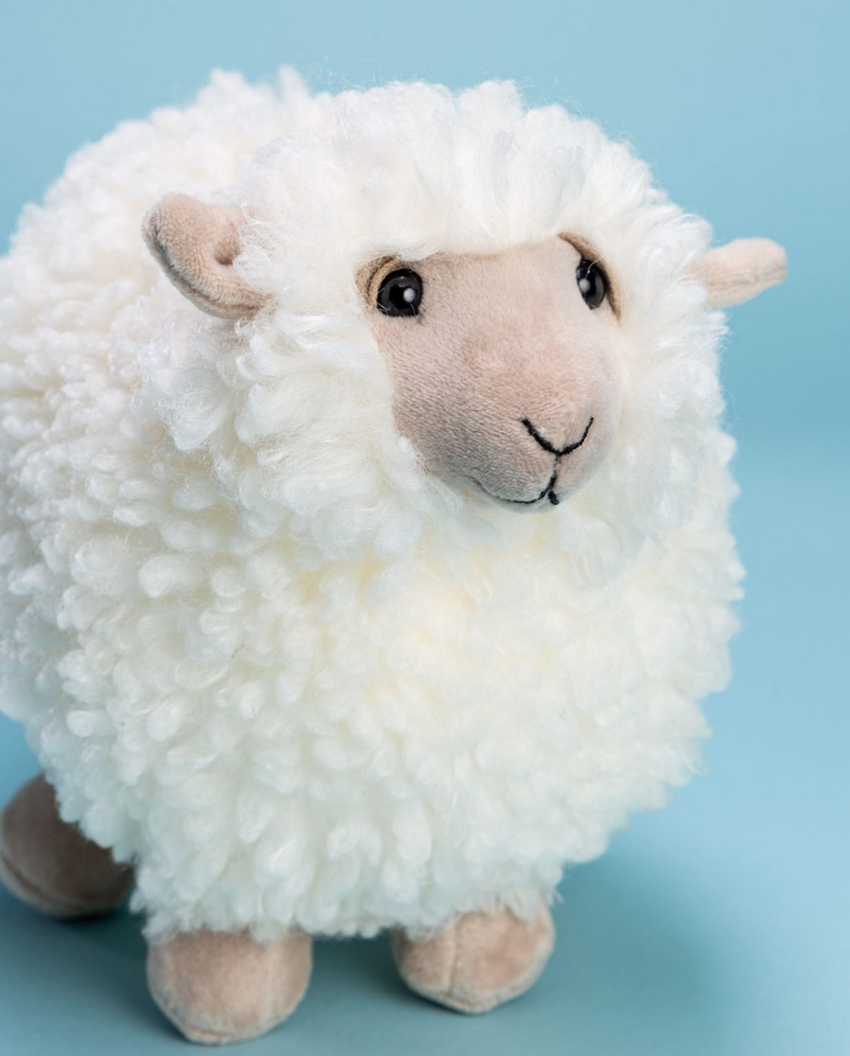 Jellycat Small Rolbie Sheep Soft Toy - Send a Cuddly