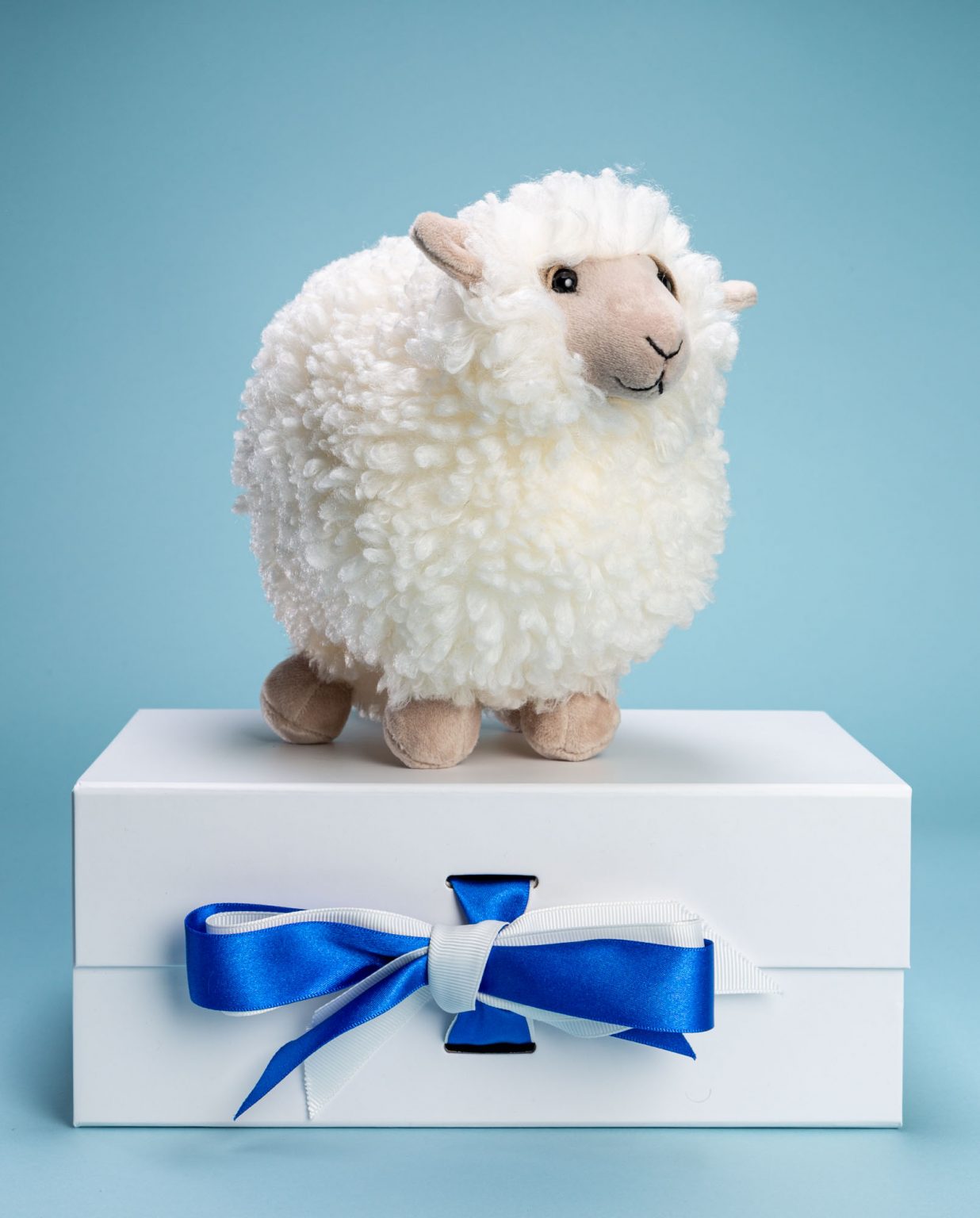 Jellycat Small Rolbie Sheep Soft Toy - Send a Cuddly