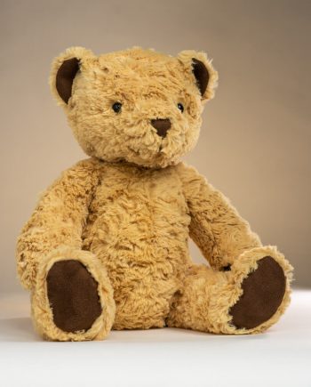 Jellycat Edward Bear - Send a Cuddly