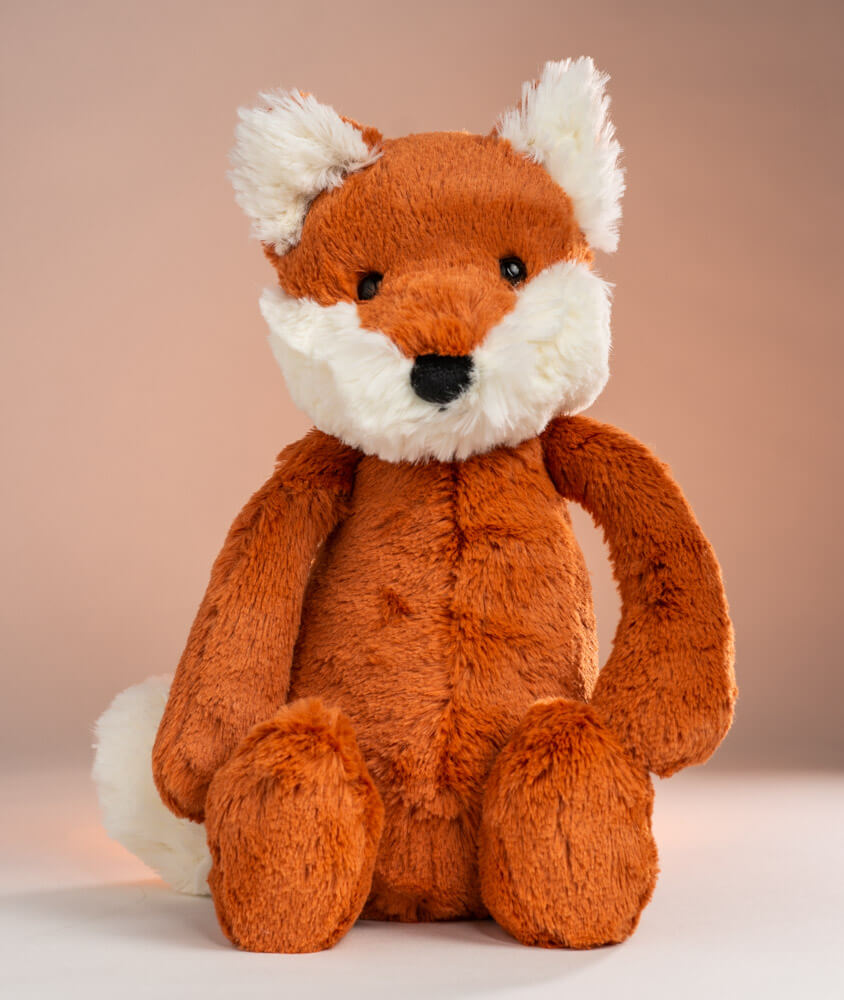 bashful fox