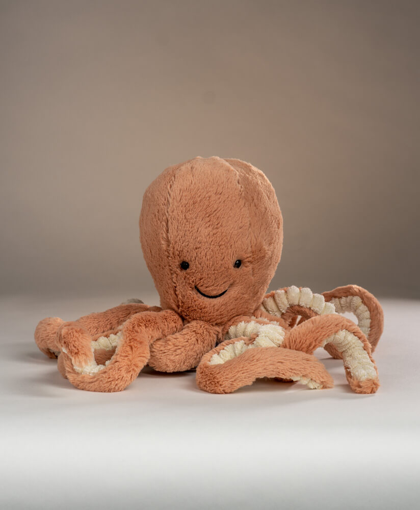 Jellycat Octopus present | Octopus Soft Toy Gift Idea | Send a Cuddly