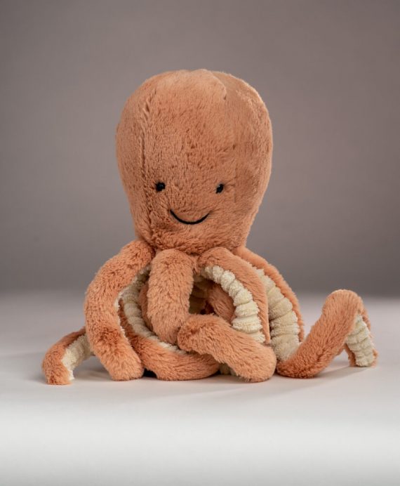 Jellycat Octopus present Octopus Soft Toy Gift Idea Send a Cuddly