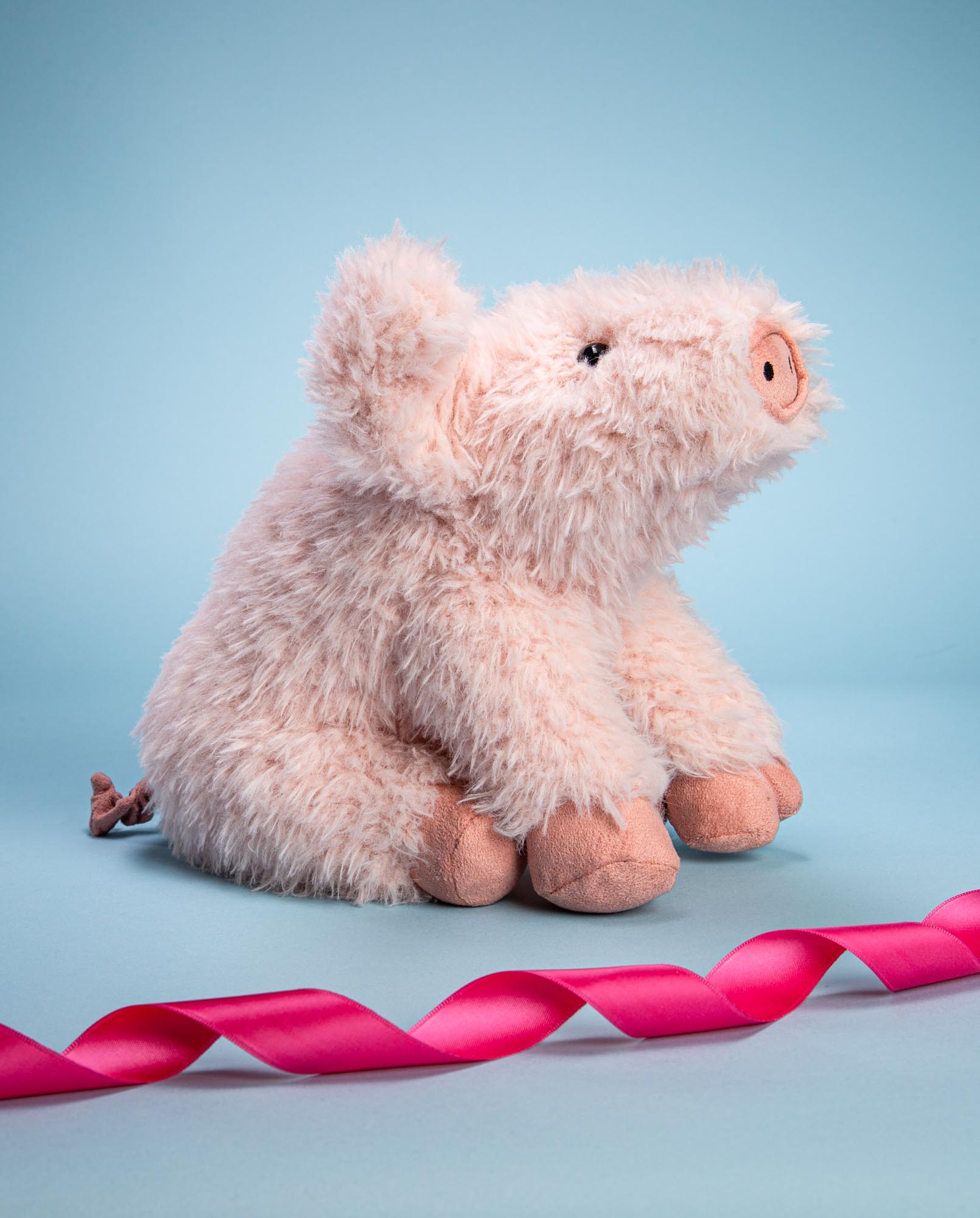 Jellycat Curvie Pig | Pig cuddly Gift Idea | Order yours at Send a Cuddly