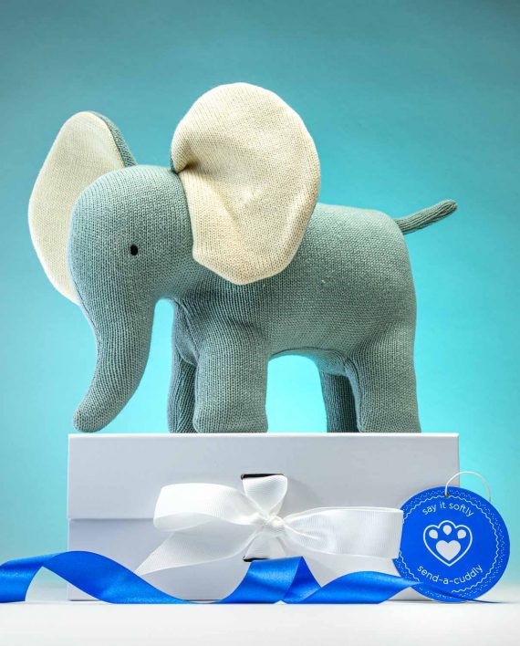 Knitted Teal Elephant Soft Toy - Send a Cuddly