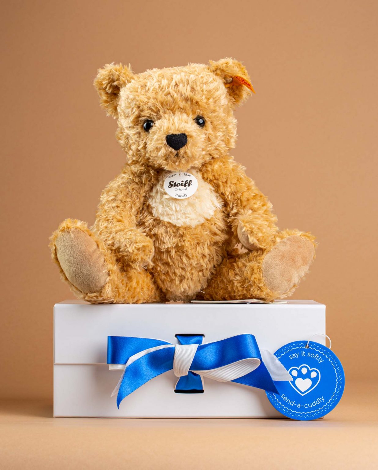 Paddy Teddy Bear by Steiff - Send A Cuddy