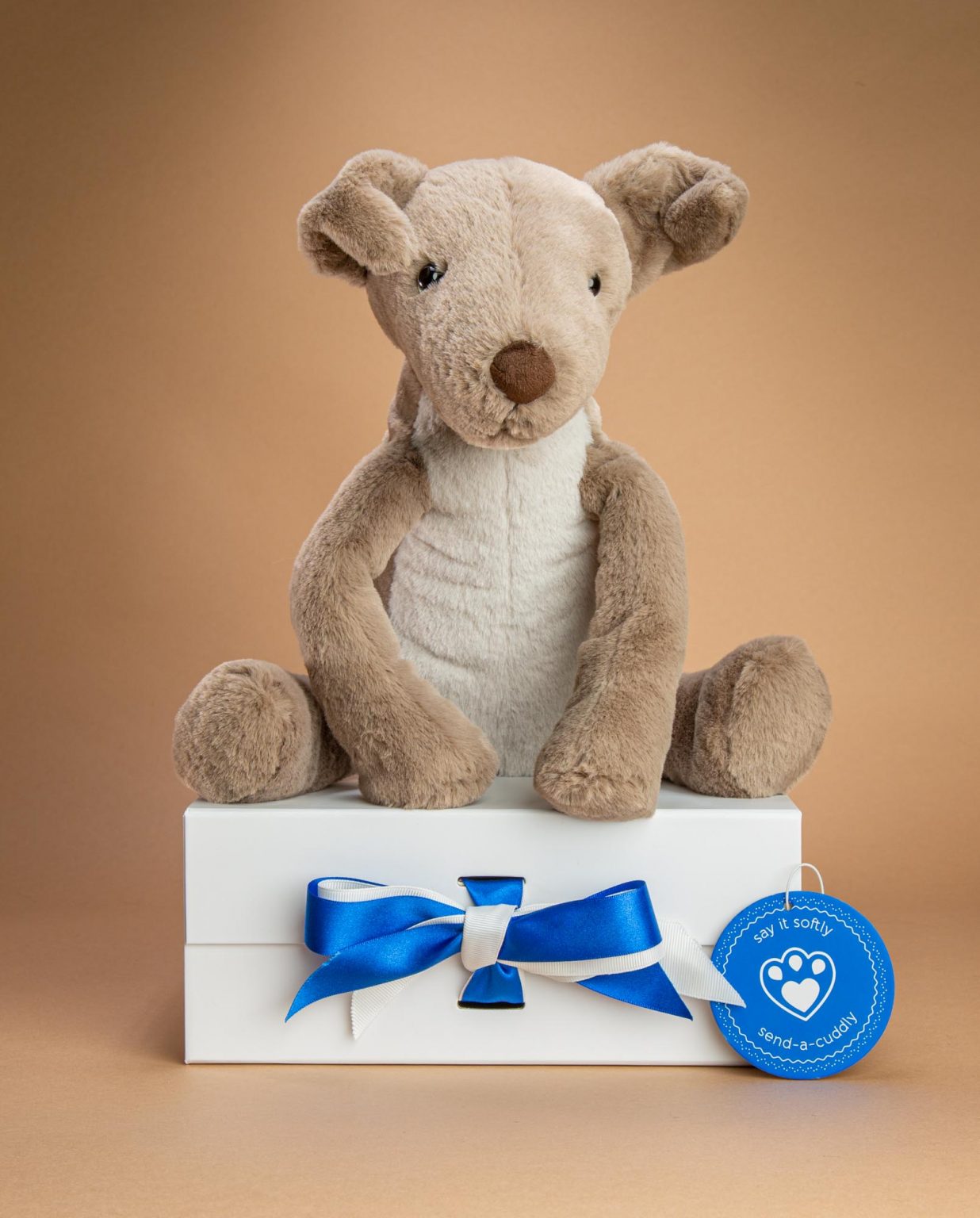 Jellycat Mac Pup Soft Toy Gift - Send a Cuddly