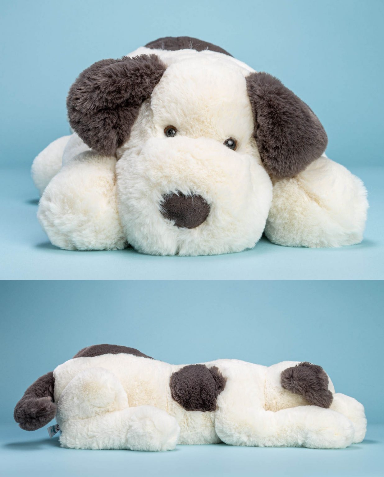 Jellycat Dashing Dog Soft Toy - Send a Cuddly