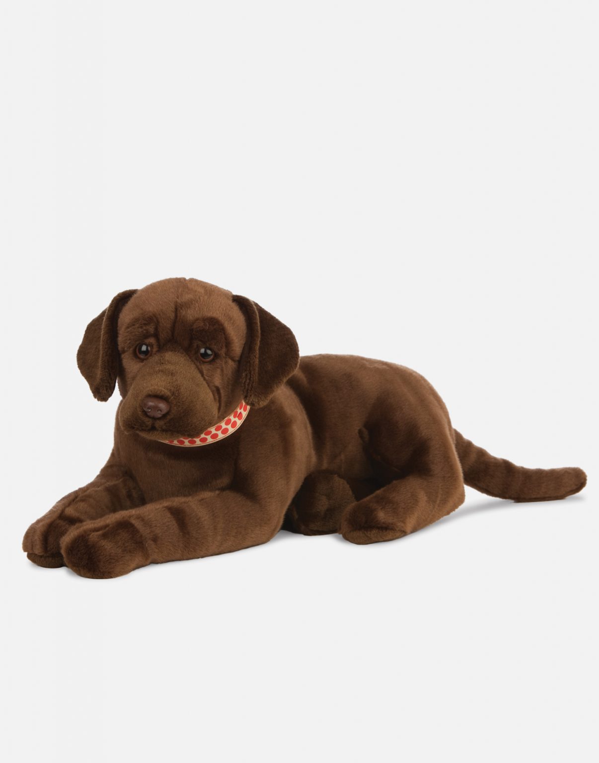 Giant Chocolate Labrador