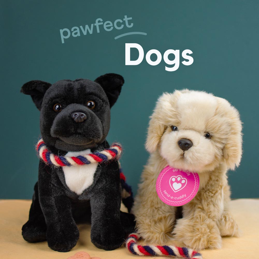 Dog Soft Toy Gifts - Send a Cuddly