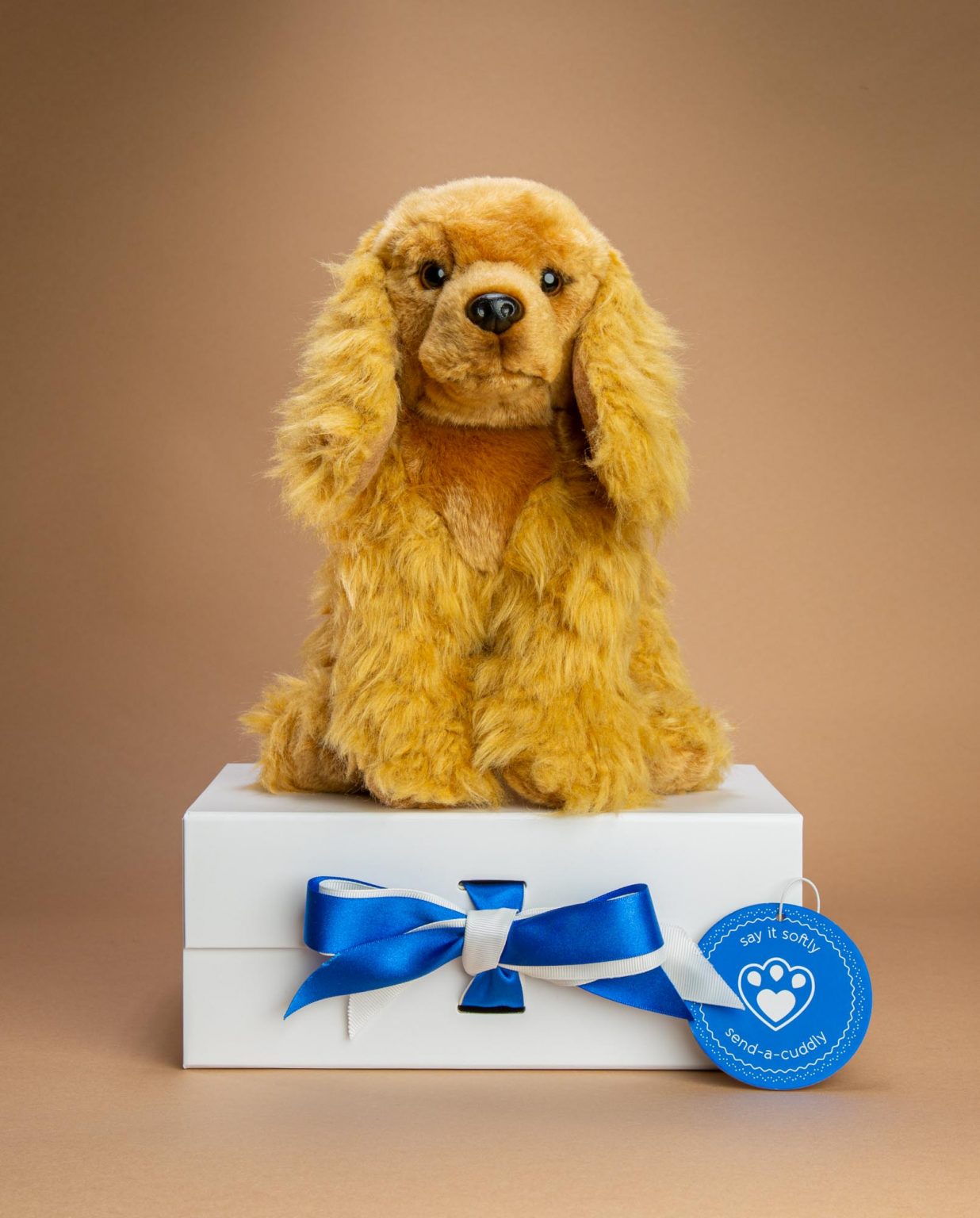 Cocker Spaniel Dog Soft Toy Gift - Send a Cuddly