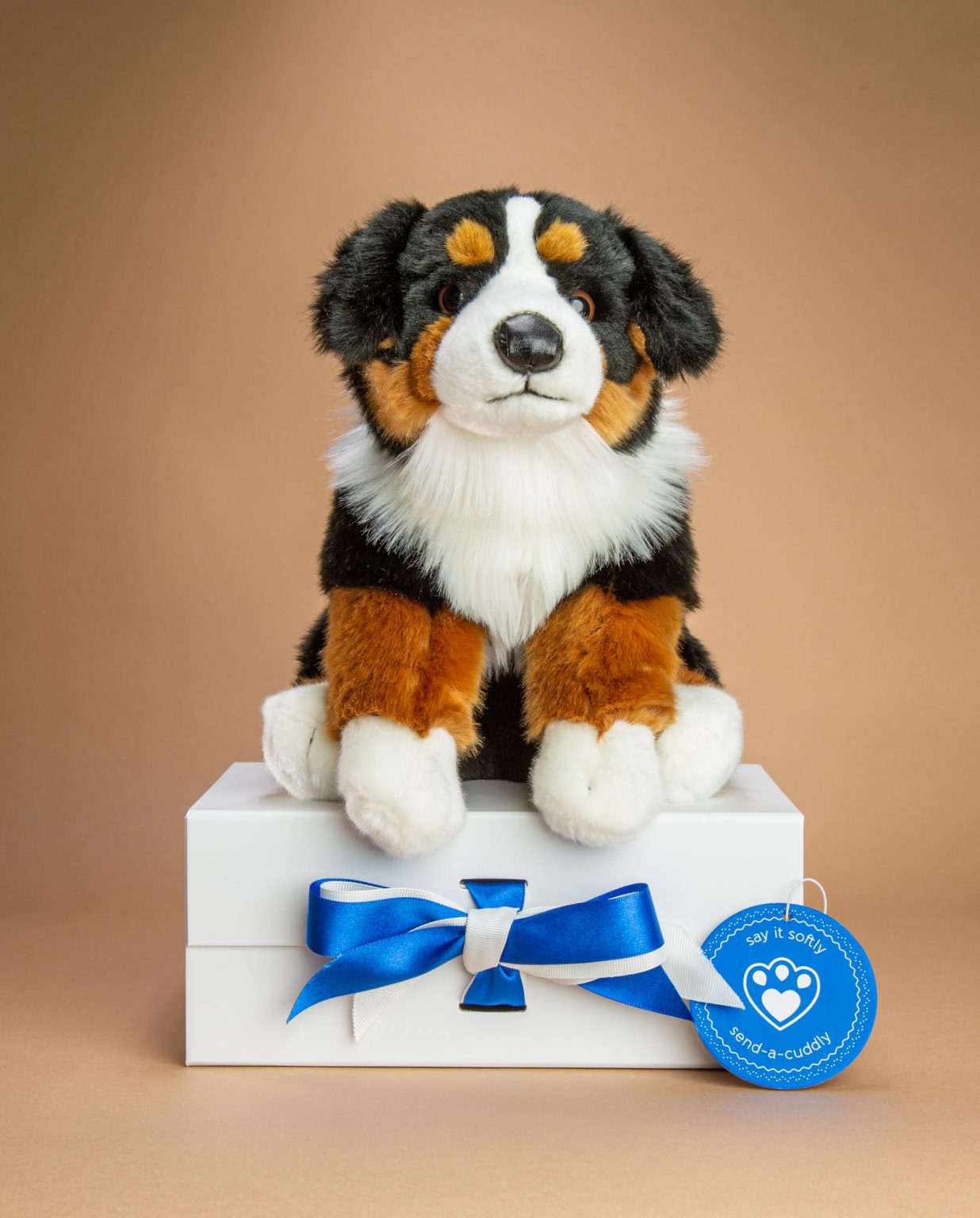 Bernese Mountain Dog Soft Toy Gift - Send a Cuddly