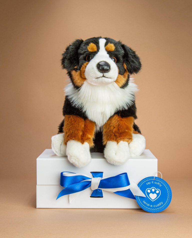 Bernese Mountain Dog Soft Toy Cuddly Dog Gifts Send a Cuddly