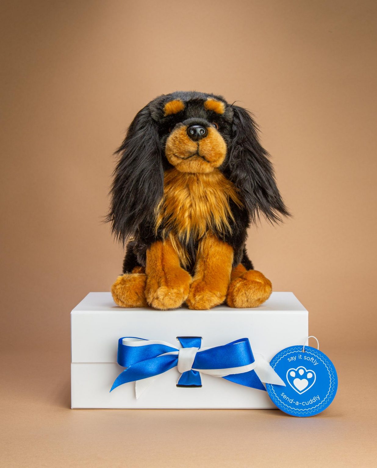 Black and Tan King Charles Spaniel soft toy gift - Send a Cuddly