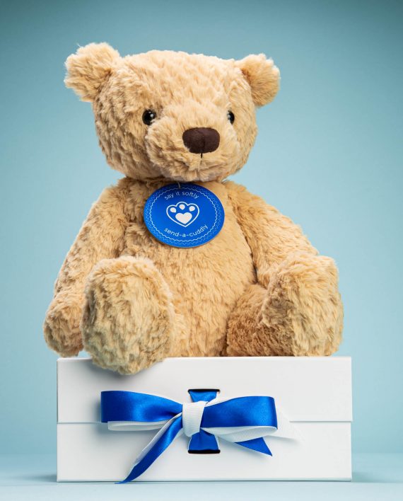 Finley Teddy Bear soft toy gift - Send a Cuddly