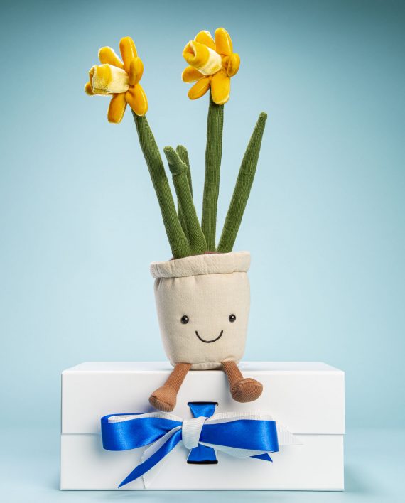 Cuddly Daffodil Gift Jellycat Daffodil flower A perfect New Home gift