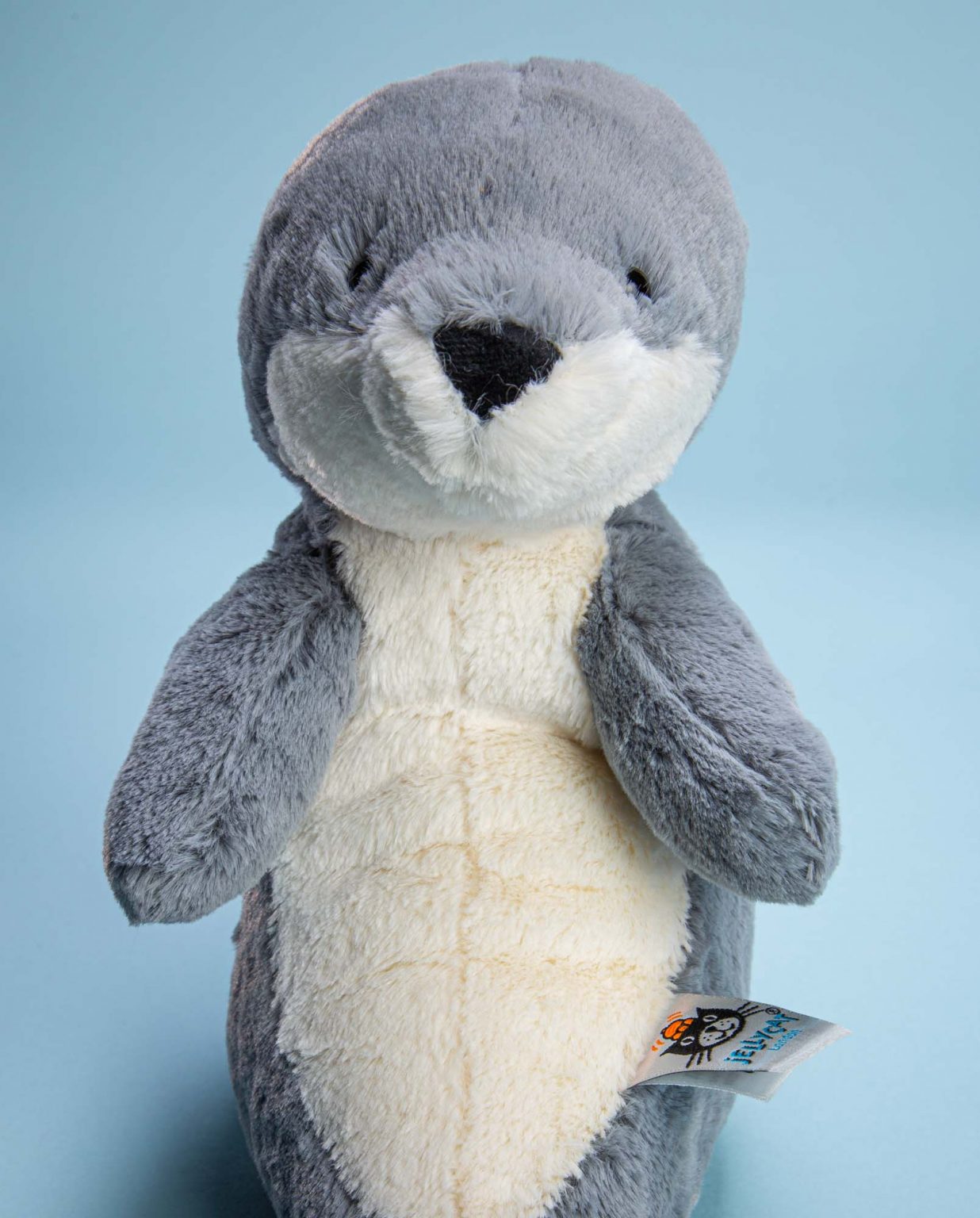 Jellycat Seal soft toy gift - Send a Cuddly