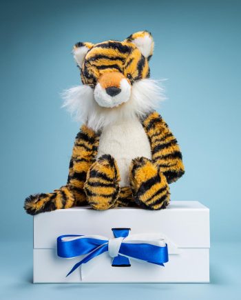 Tiger cuddly soft toy gift