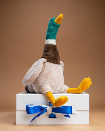 Mallard Duck Soft Toy