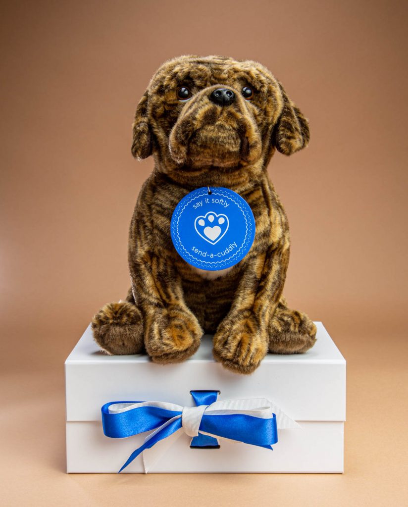 Brindle Boxer Dog Send Soft Toy Boxer gift Send a Cuddly