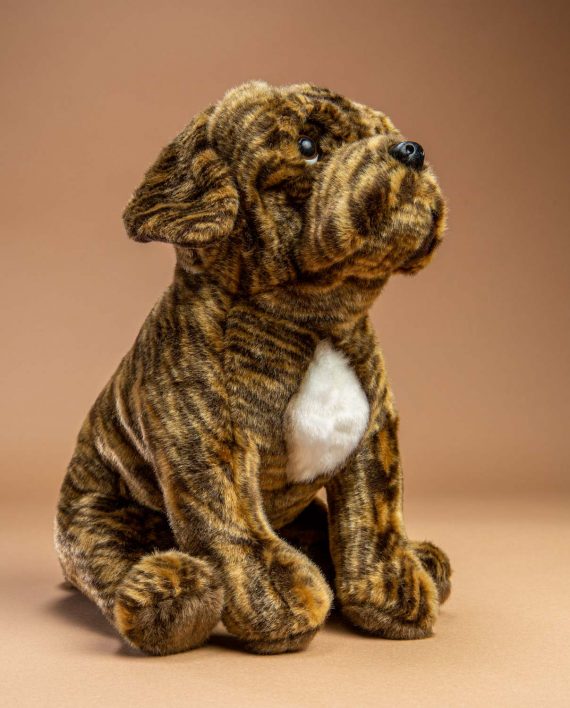 Brindle Boxer Dog Send Soft Toy Boxer gift Send a Cuddly