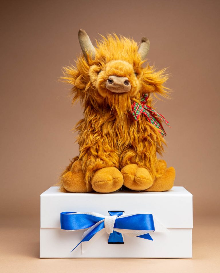 Handmade Highland Cow Scottish Soft Toy Gift Send a Cuddly