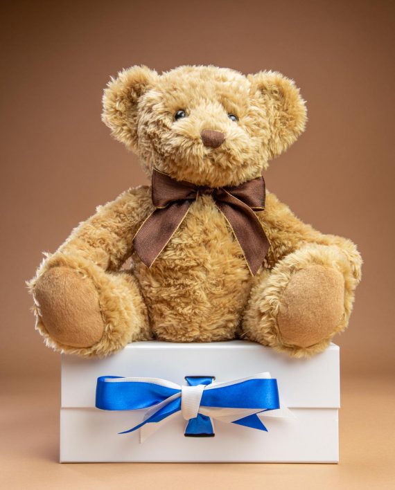 Sherwood Teddy Bear Soft Toy Gift - Send a Cuddly
