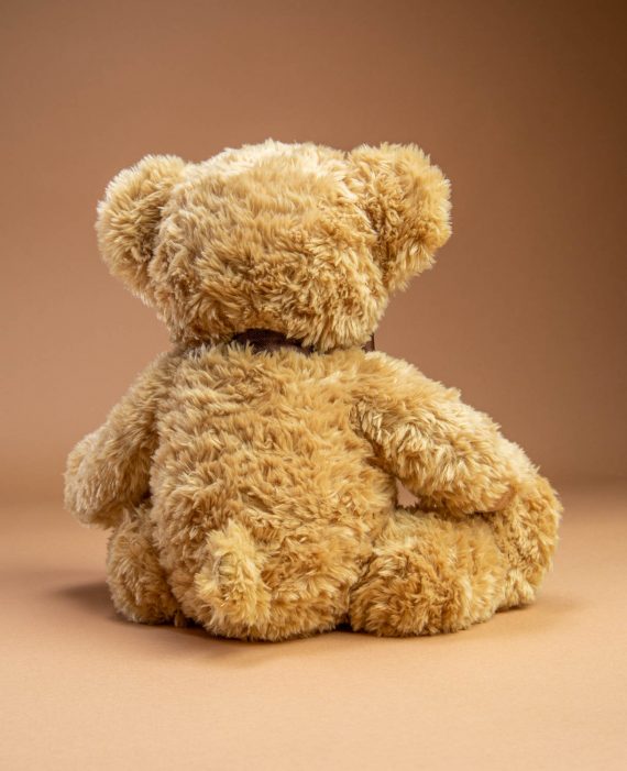 Sherwood Teddy Bear Soft Toy Gift - Send a Cuddly