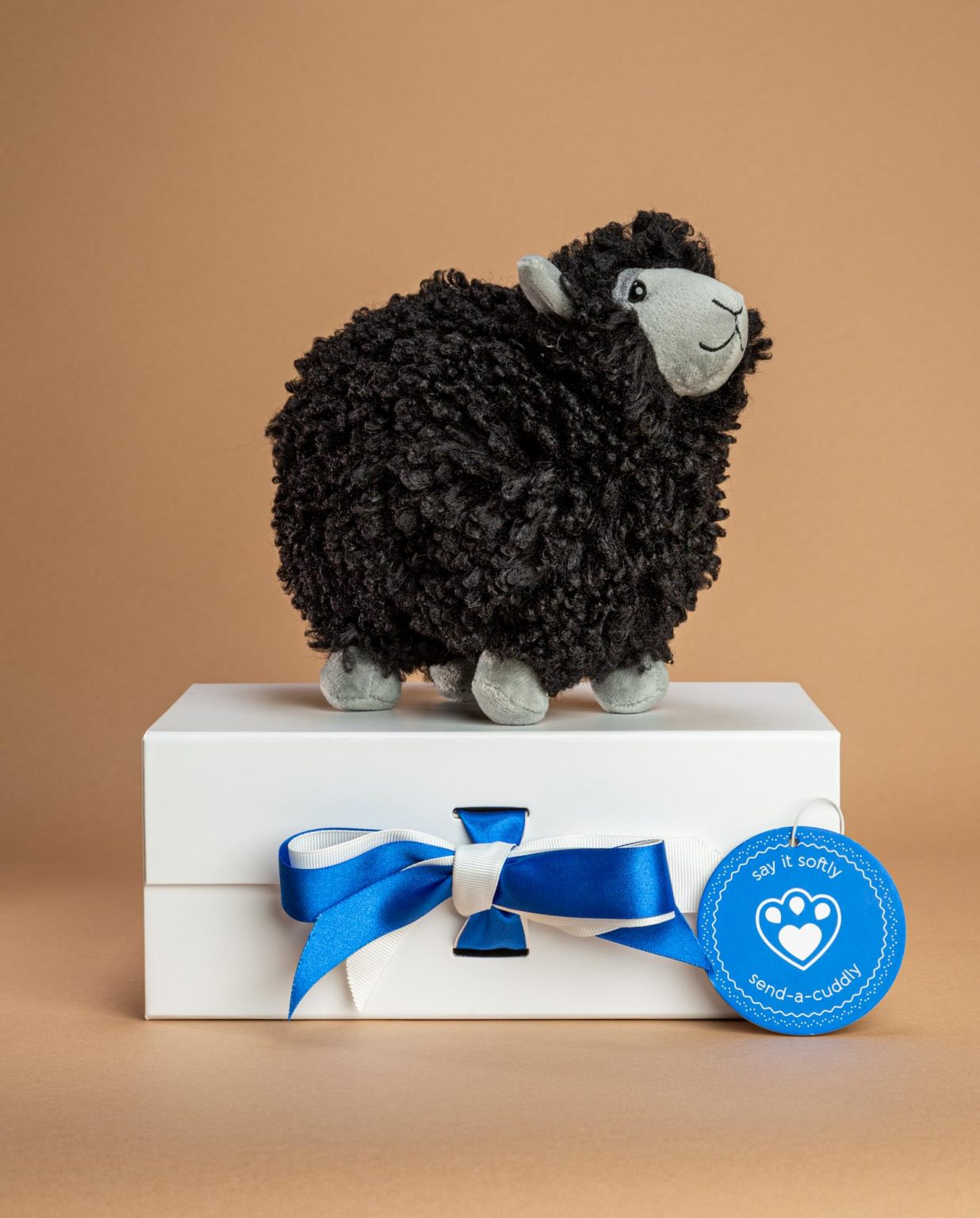 Jellycat Rolbie Black Sheep soft toy gift - Send a Cuddly