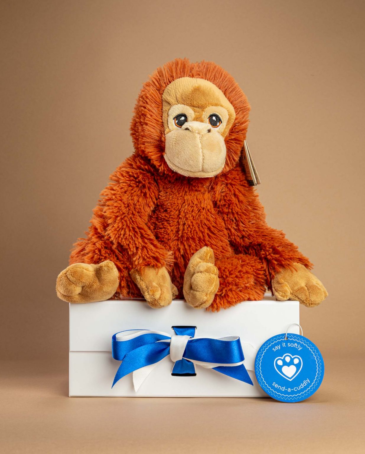Orangutan Soft Toy Send a Cuddly
