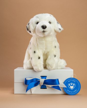 Dalmatian Cuddly Toy - Send a Cuddly