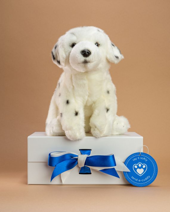 Send a Cuddly Beautifully packaged thoughtful soft toy gifts delivered