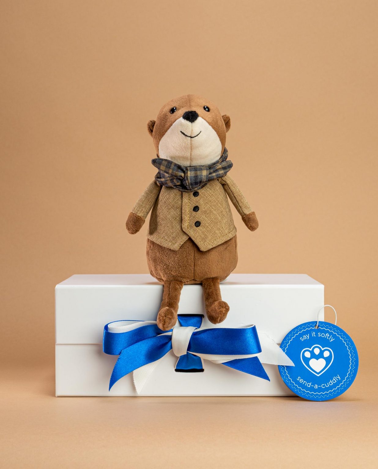 Jellycat Riverside Rambler Otter