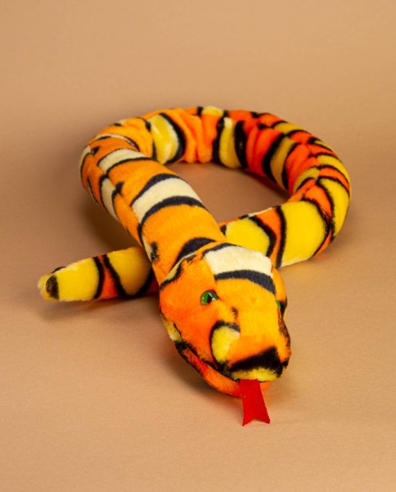 Yellow and Orange Snake