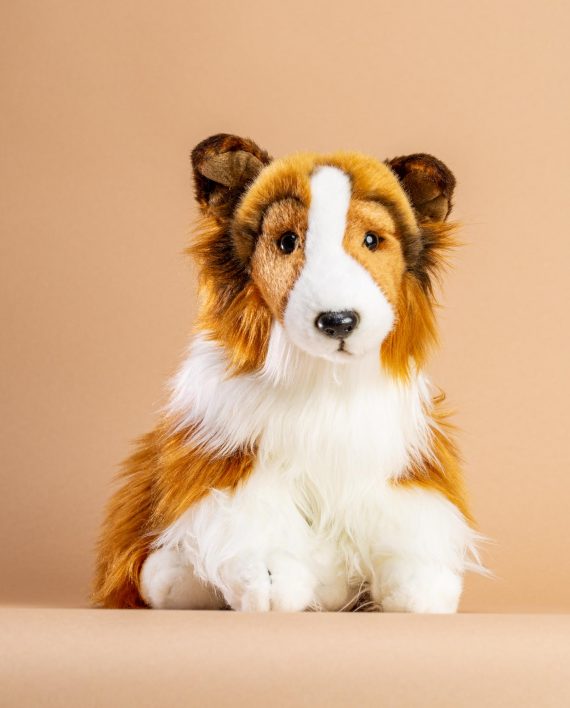 Shetland Sheepdog Soft Toy - Send a Cuddly