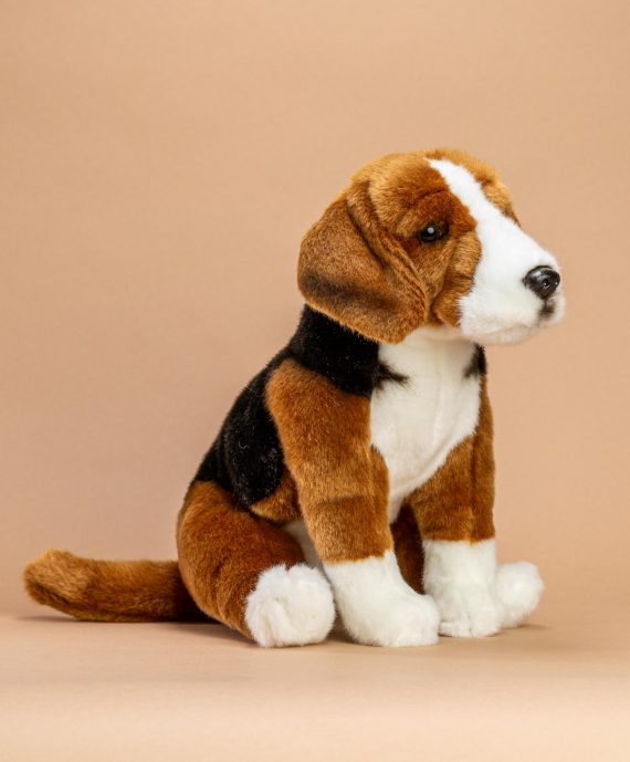 Hamilton Hound Dog Soft Toy Gift - Send a Cuddly
