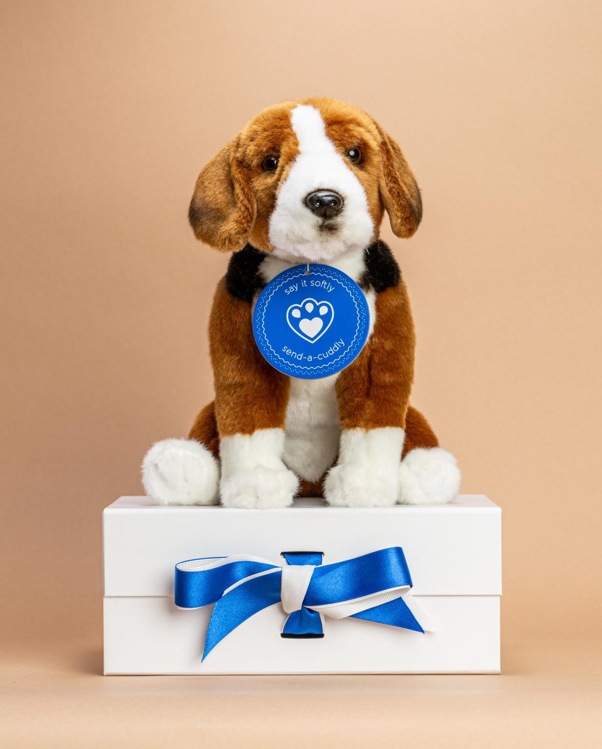 Hamilton Hound Dog Soft Toy Gift - Send a Cuddly