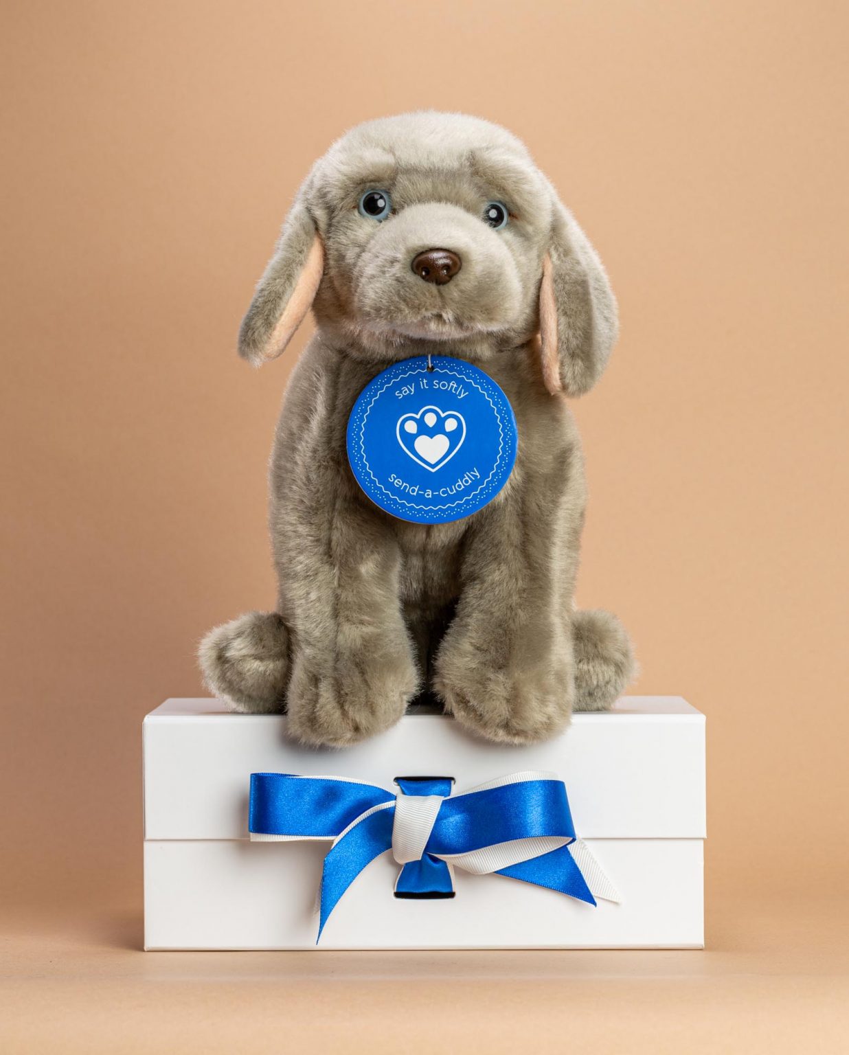 Weimaraner Dog Soft Toy Gift - Send a Cuddly