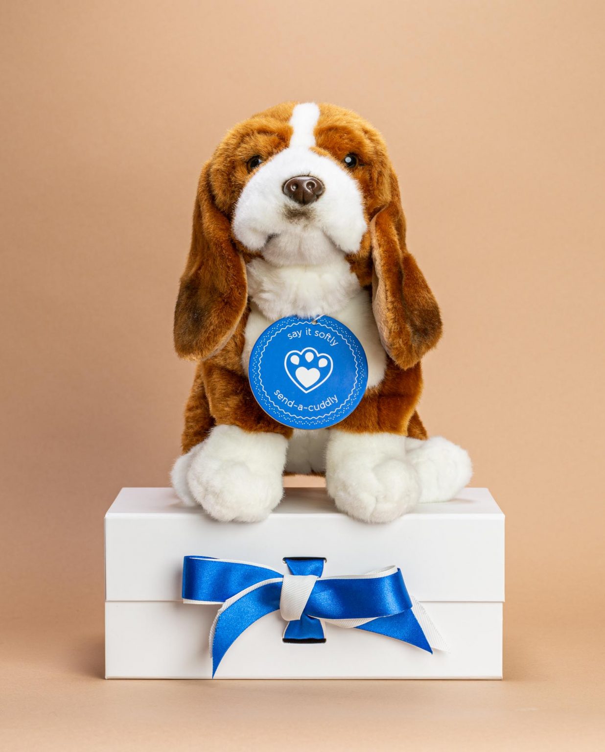 Bassett Hound Dog Soft Toy Gift - Send a Cuddly