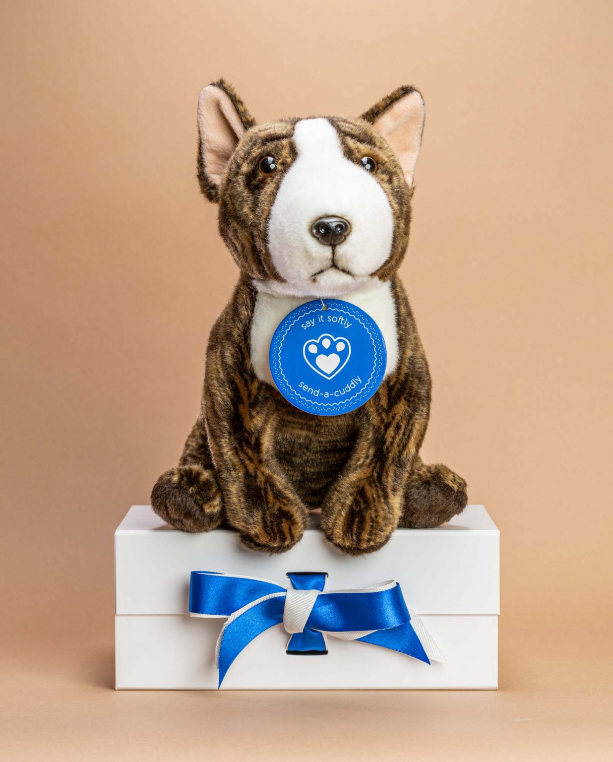 Bull Terrier Dog Soft Toy Gift - Send a Cuddly