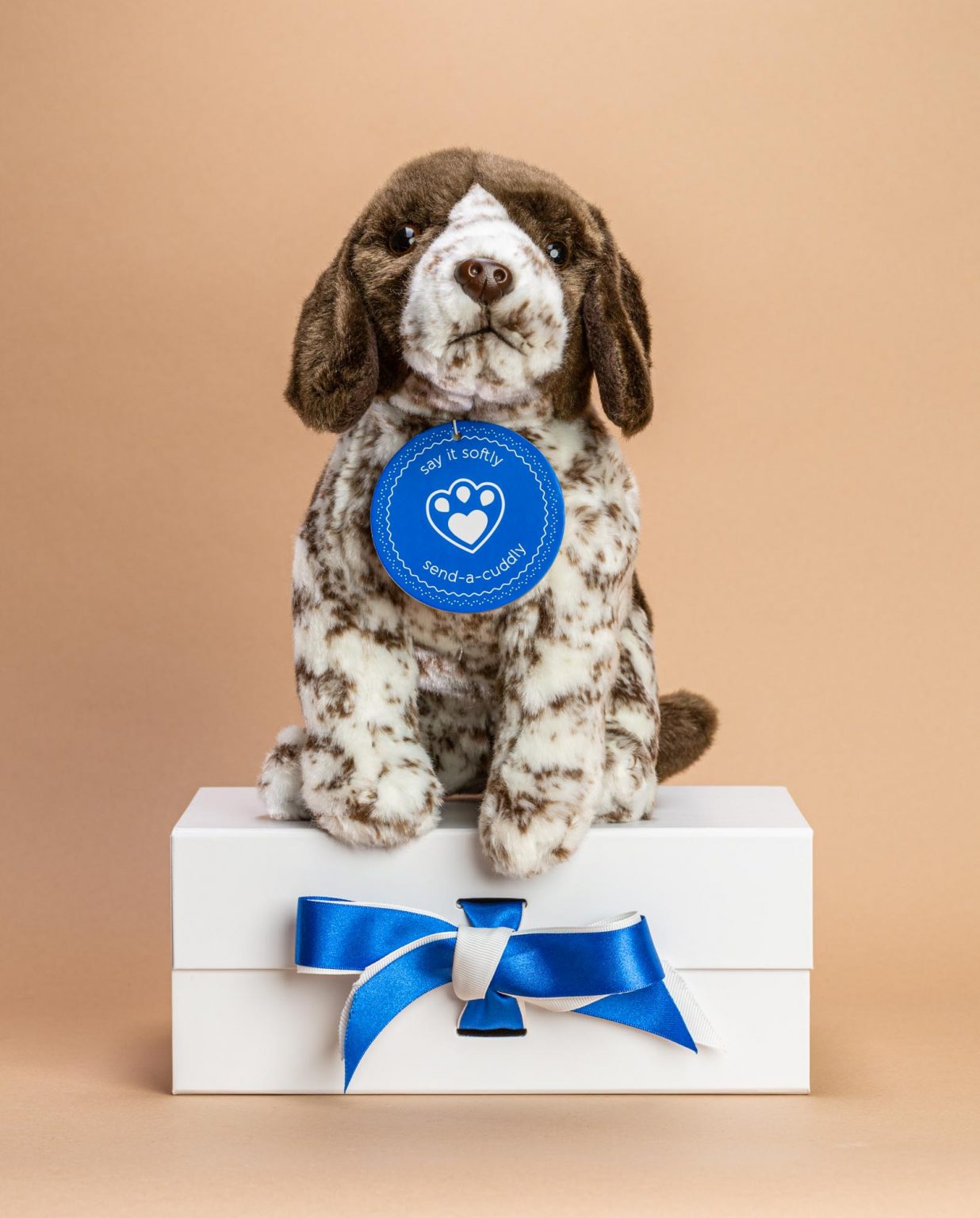 German Shorthaired Pointer Dog Soft Toy Gift - Send a Cuddly