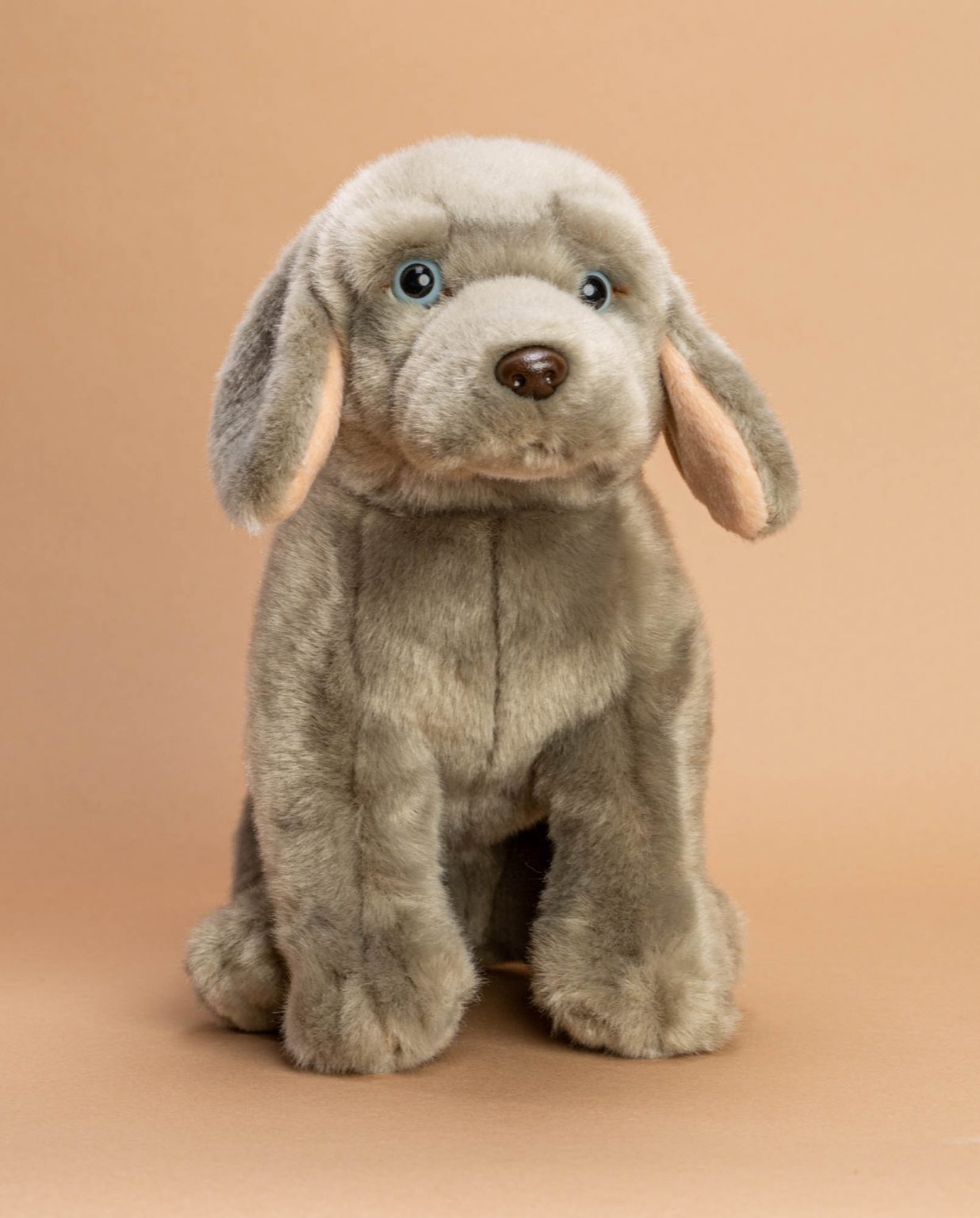 Weimaraner Dog Soft Toy Gift - Send a Cuddly