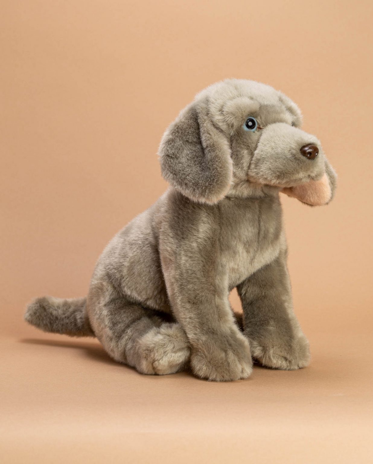 Weimaraner Dog Soft Toy Gift - Send a Cuddly