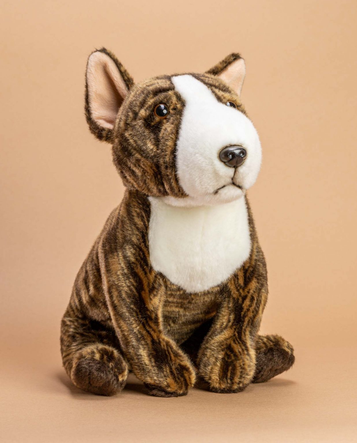 Bull Terrier Dog Soft Toy Gift - Send a Cuddly