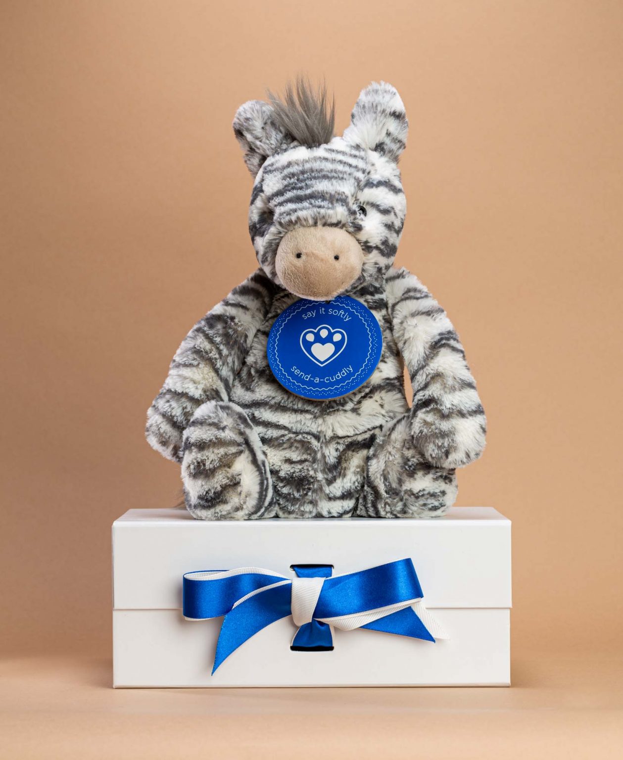 Zebra Soft Toy Gift - Send a Cuddly
