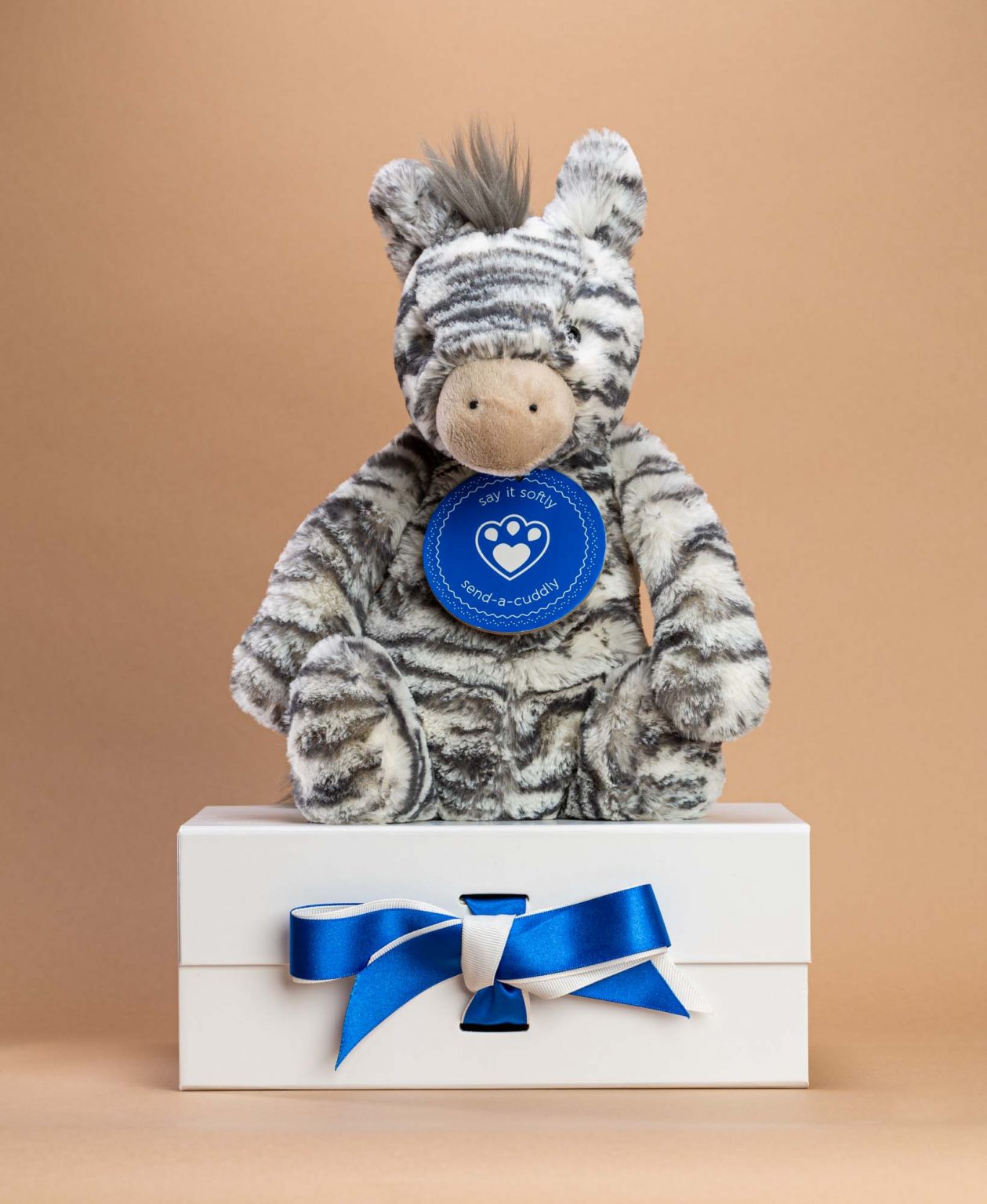 Zebra Soft Toy Gift - Send a Cuddly