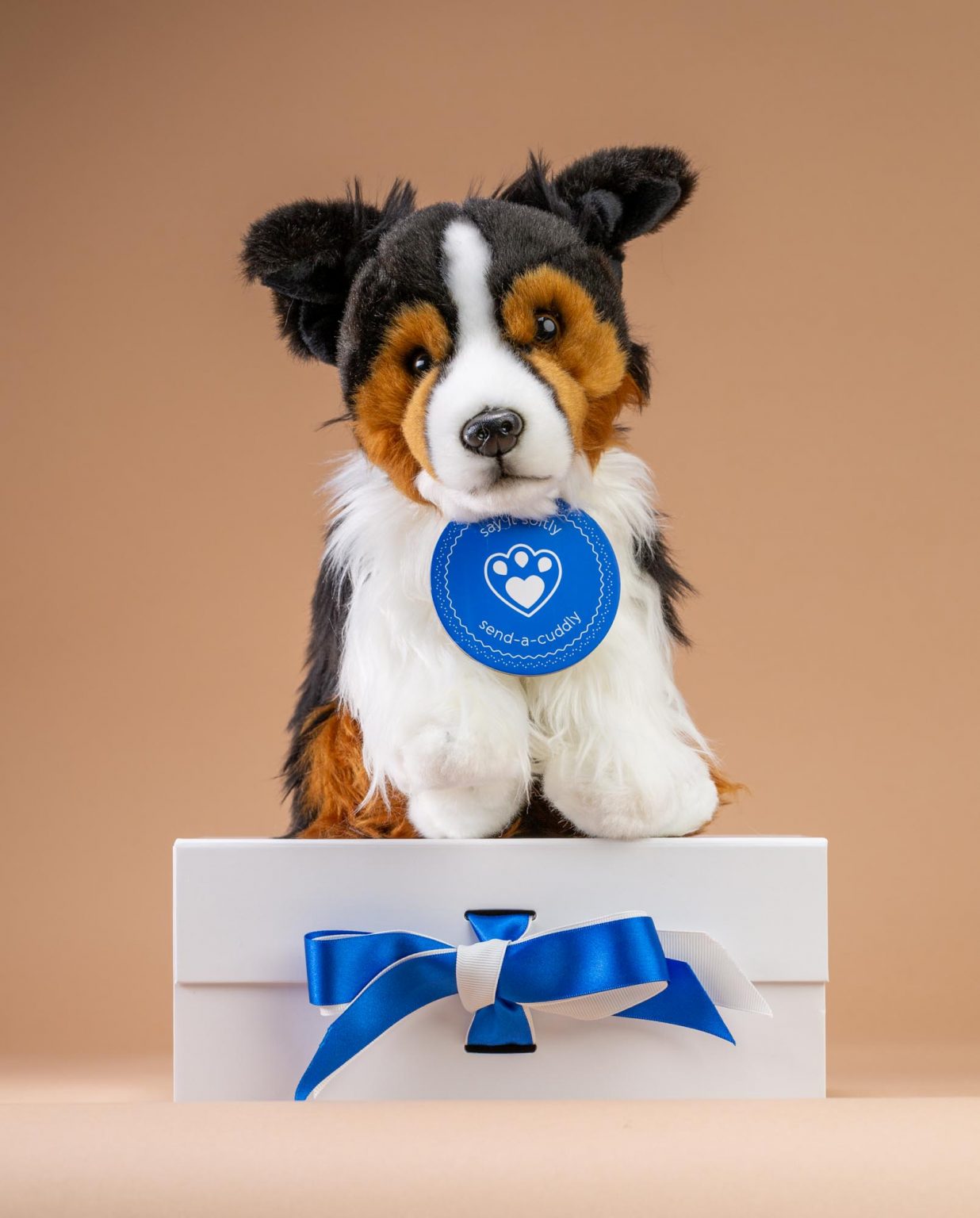 Border Collie Tri colour soft toy